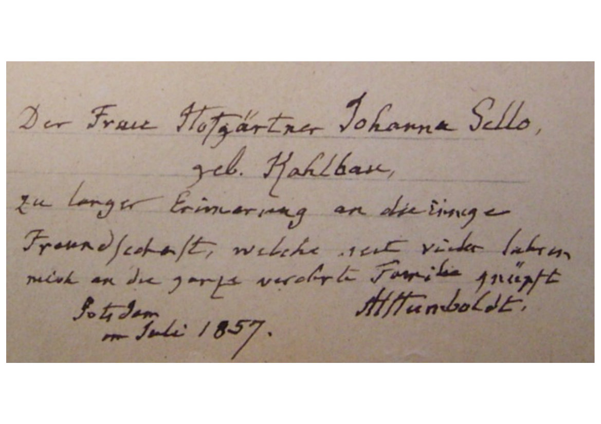 A.v.Humboldts Widmung seines Porträts an Johanna Sello