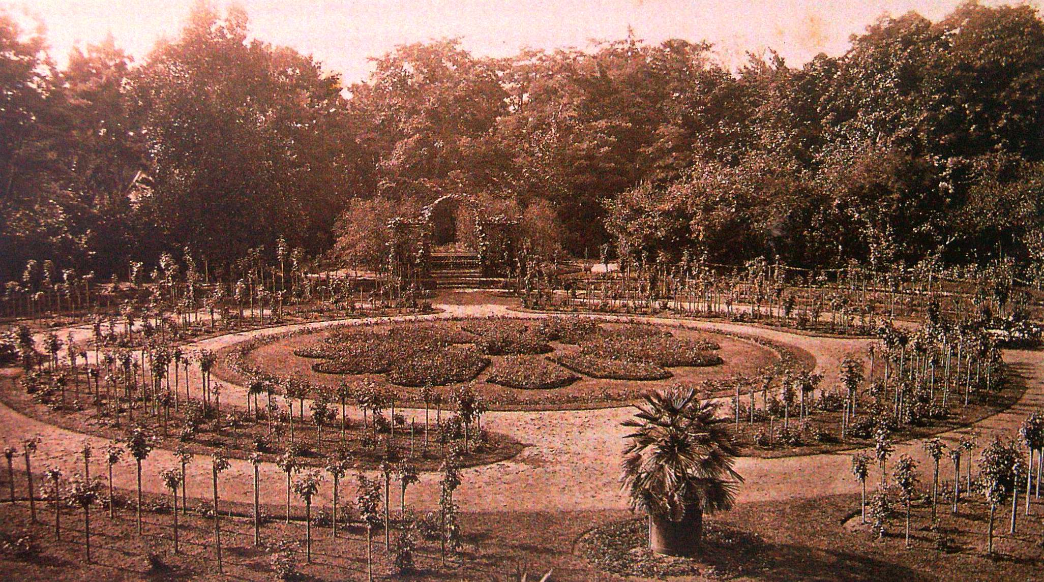 Rosengarten im Neuen Garten, von Theodor Nietner angelegt