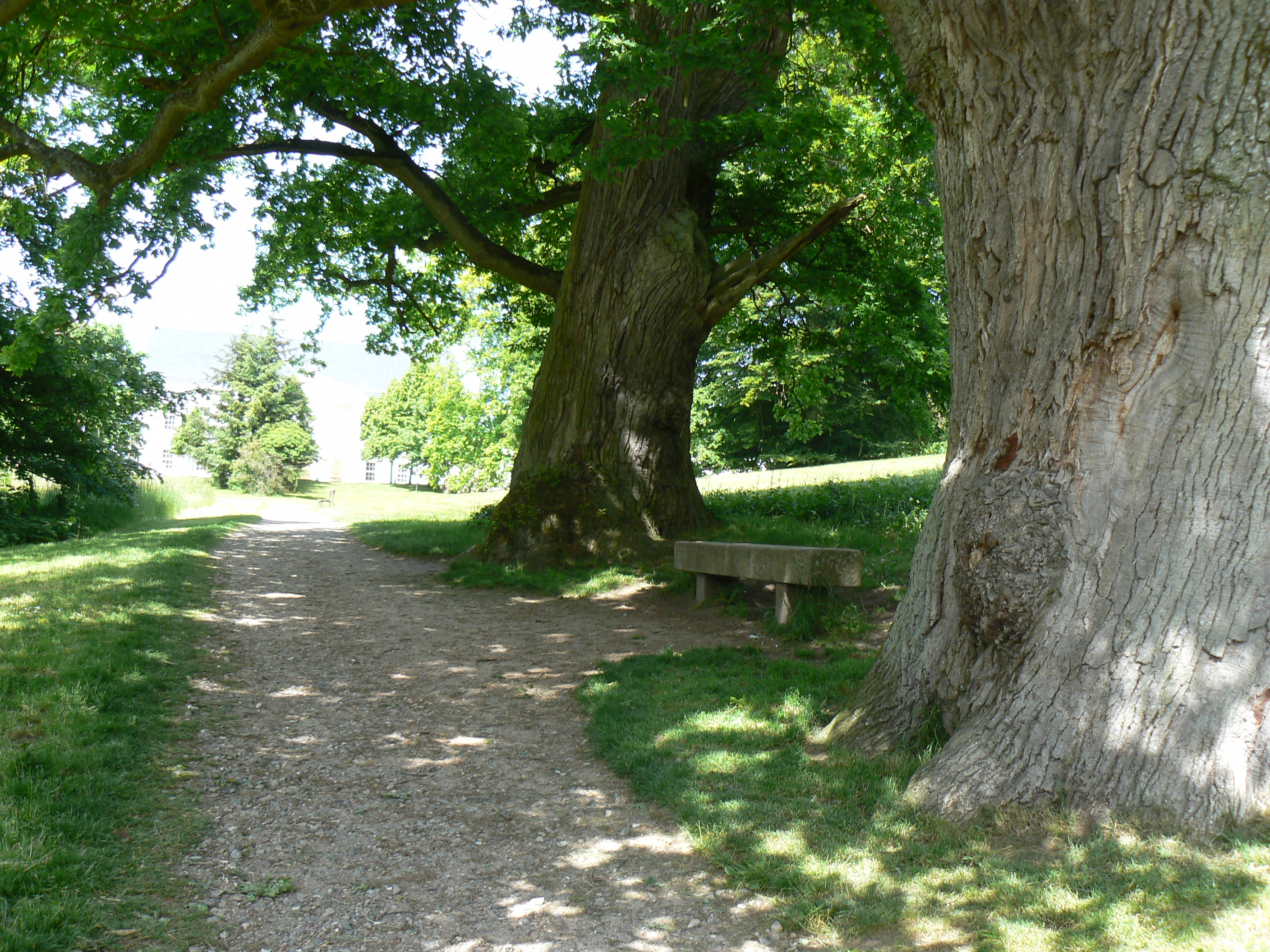 Schlosspark Oranienbaum im Jahre 2008