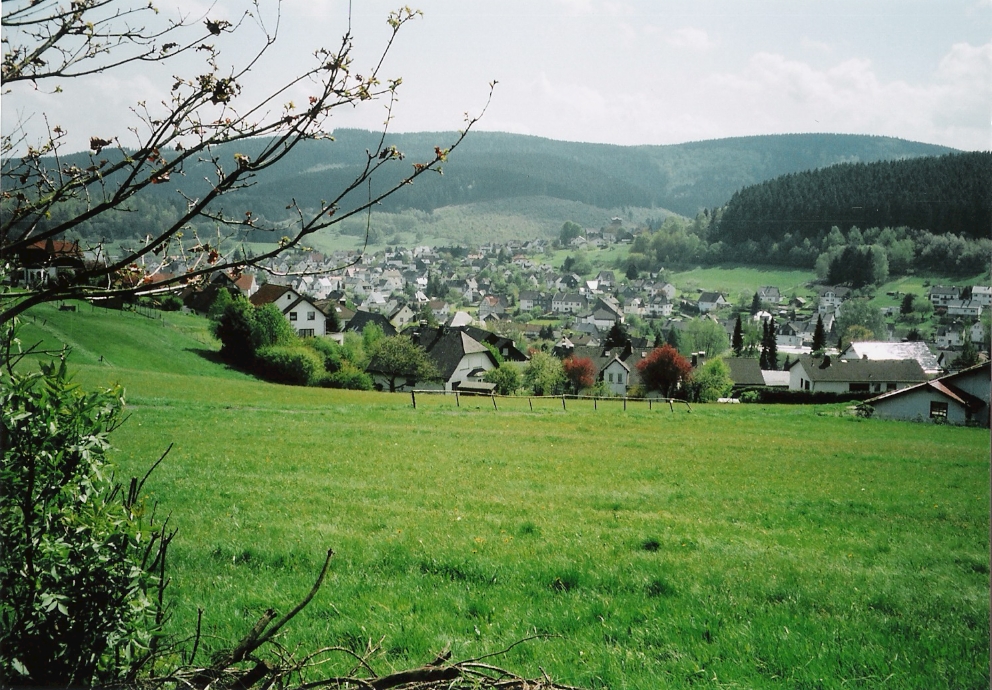Blick auf Weidelbach